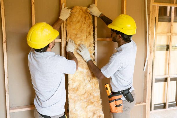 Best Attic Insulation Near Me  in USA